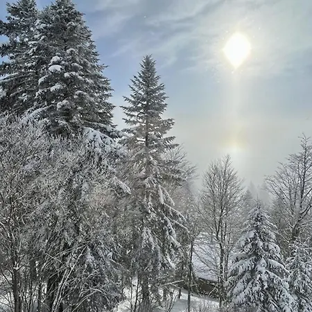 Lejlighed Coquet Au Coeur Du Lioran, Proche Pistes Et Commodites - Fr-1-787-94